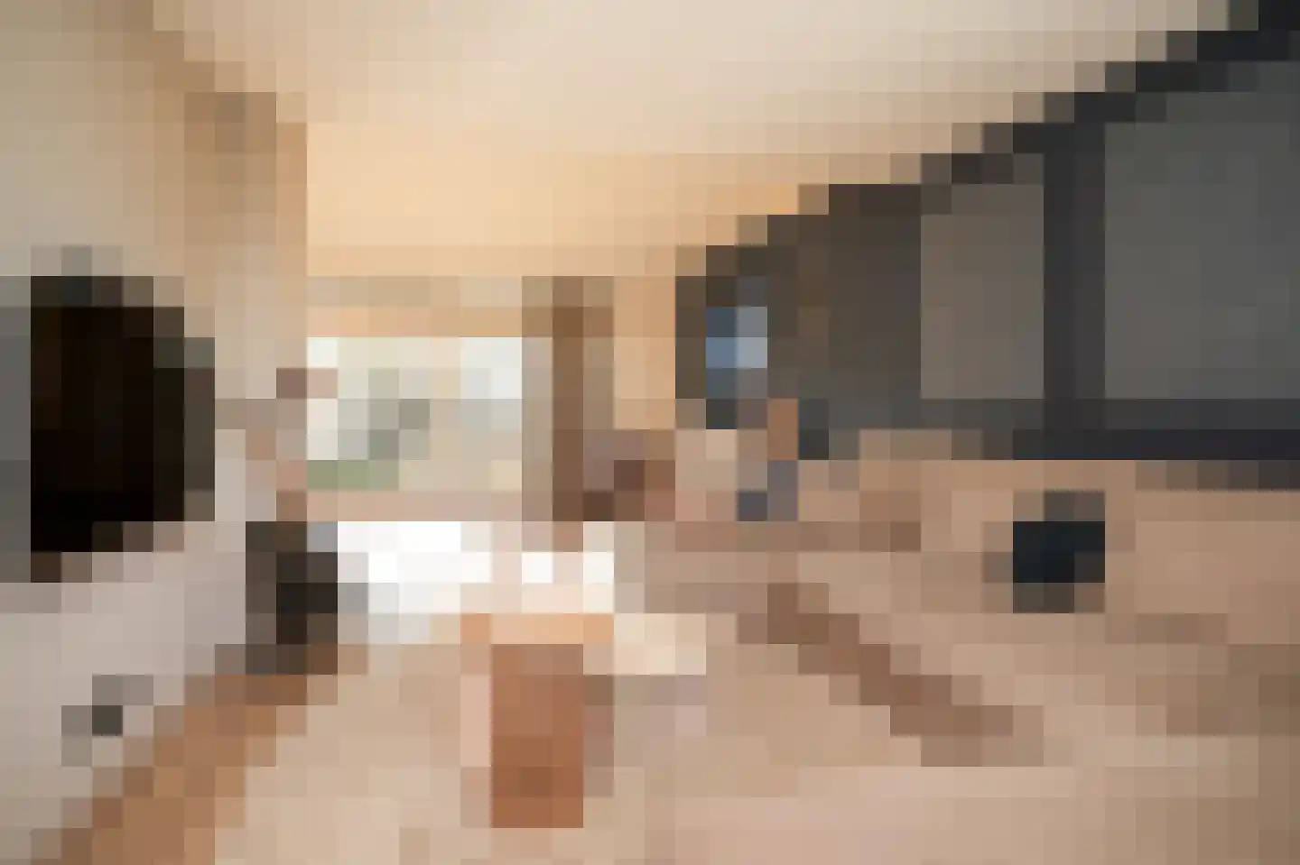 Leijensteinstraat 31 Kerkdriel thumbnail 11