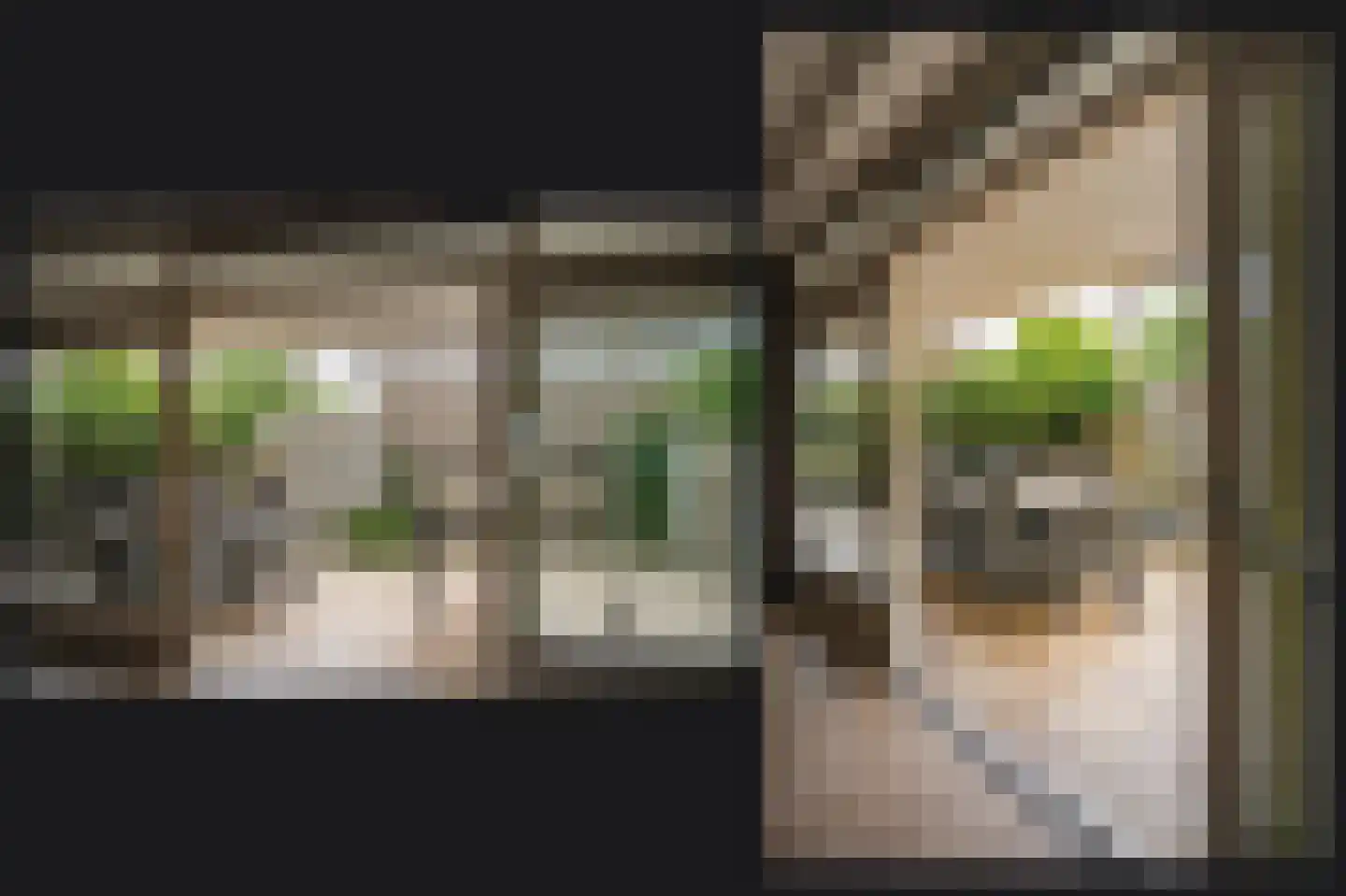 Leijensteinstraat 31 Kerkdriel thumbnail 14