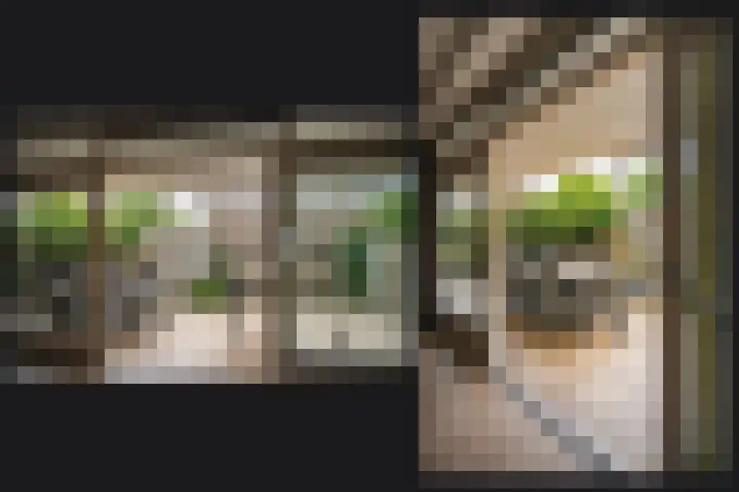 Leijensteinstraat 31 Kerkdriel thumbnail 16