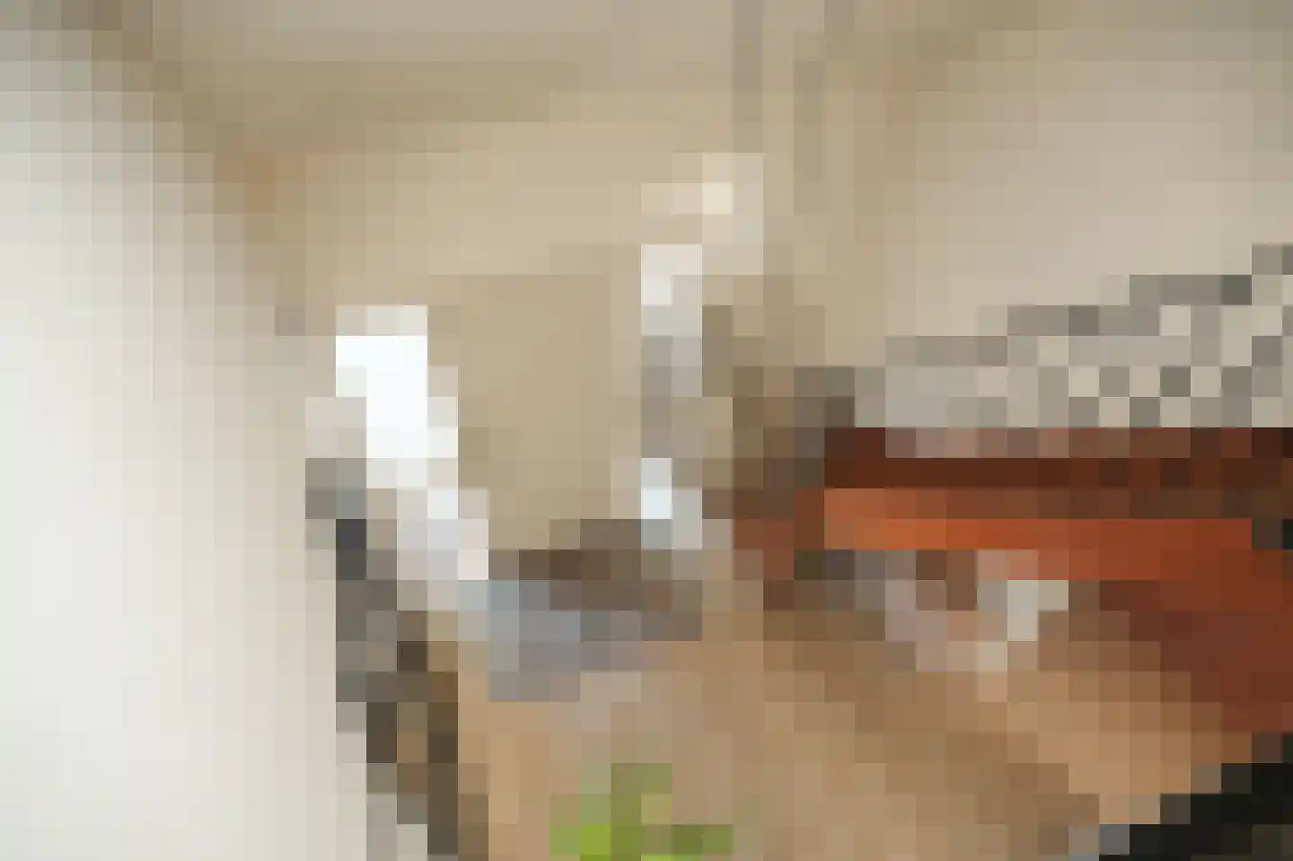 Leijensteinstraat 31 Kerkdriel thumbnail 27