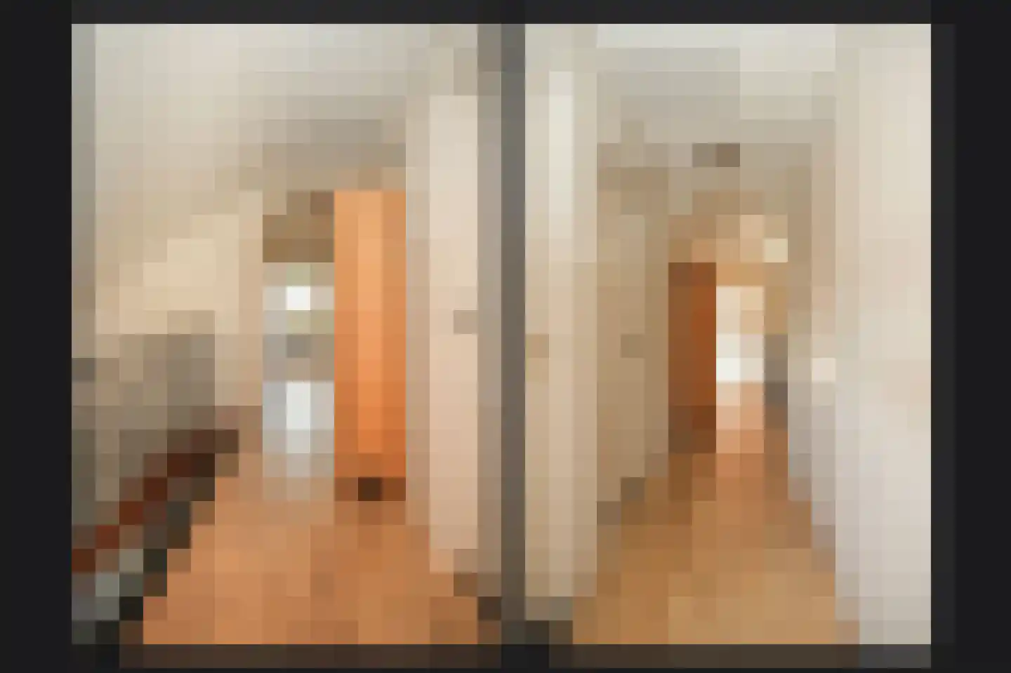 Leijensteinstraat 31 Kerkdriel thumbnail 29