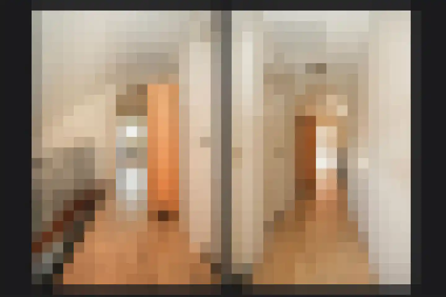 Leijensteinstraat 31 Kerkdriel thumbnail 32