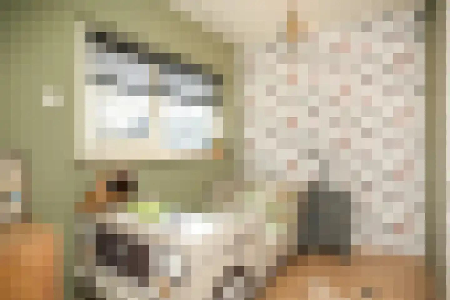 Leijensteinstraat 31 Kerkdriel thumbnail 36