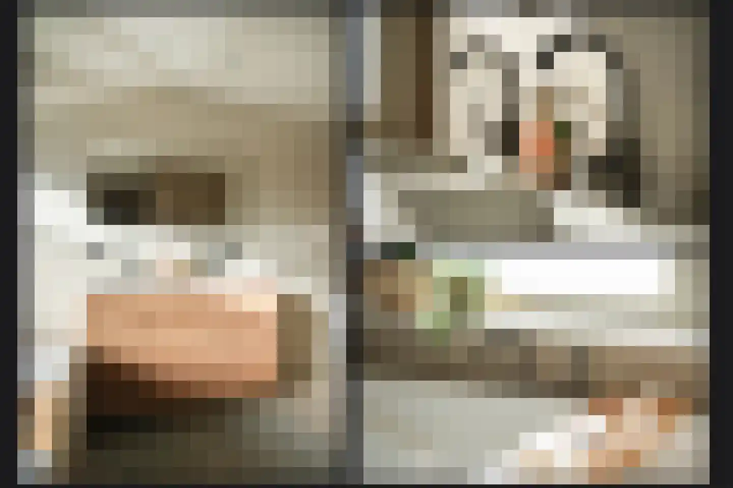 Leijensteinstraat 31 Kerkdriel thumbnail 39
