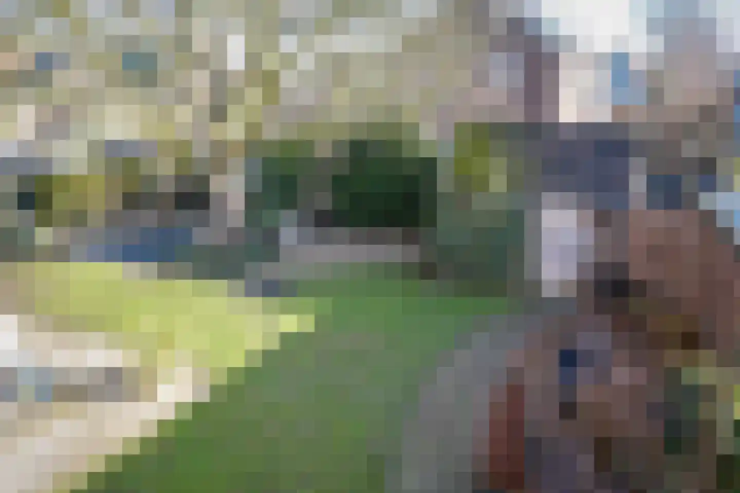 Leijensteinstraat 31 Kerkdriel thumbnail 40