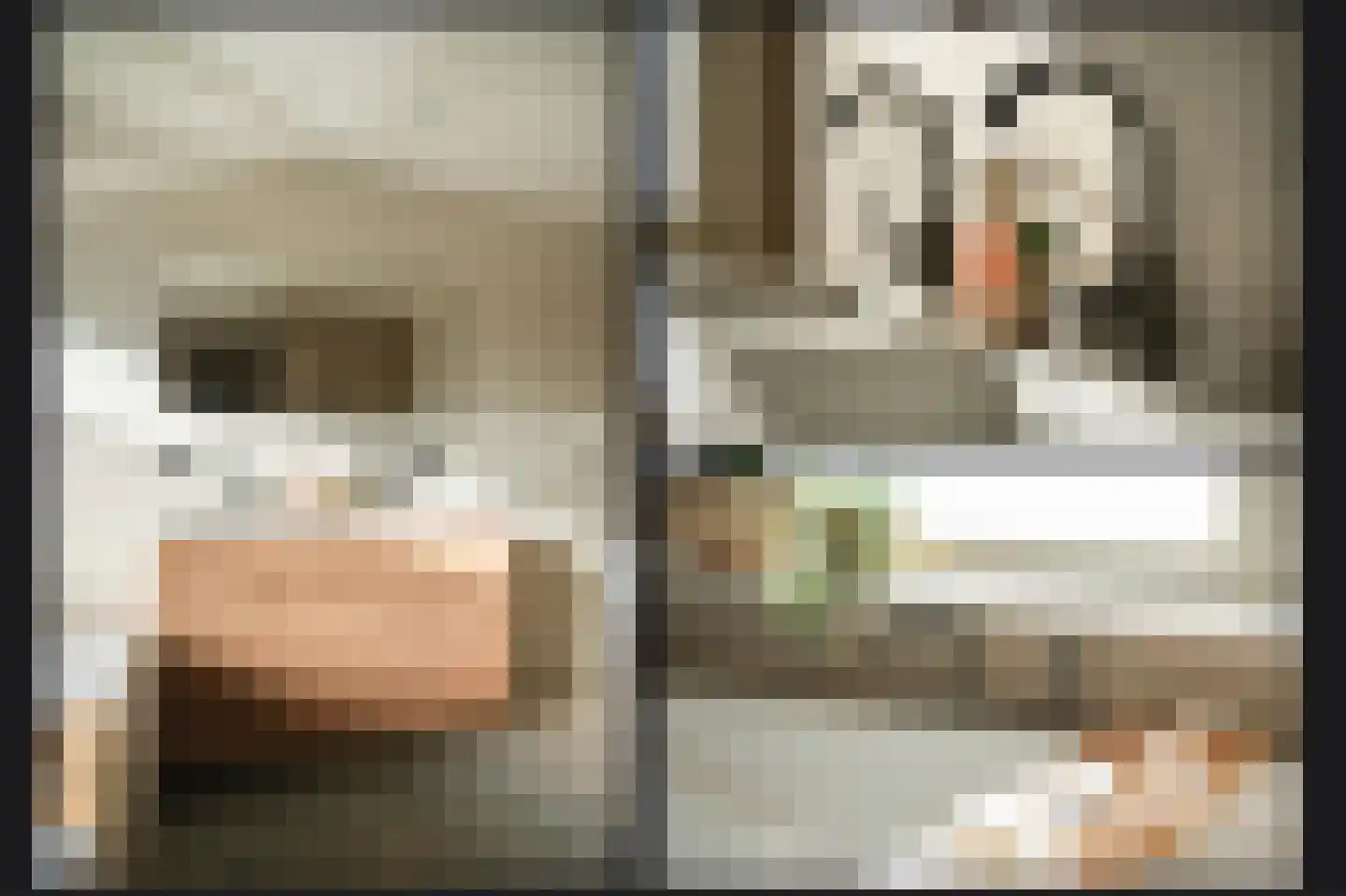 Leijensteinstraat 31 Kerkdriel thumbnail 41