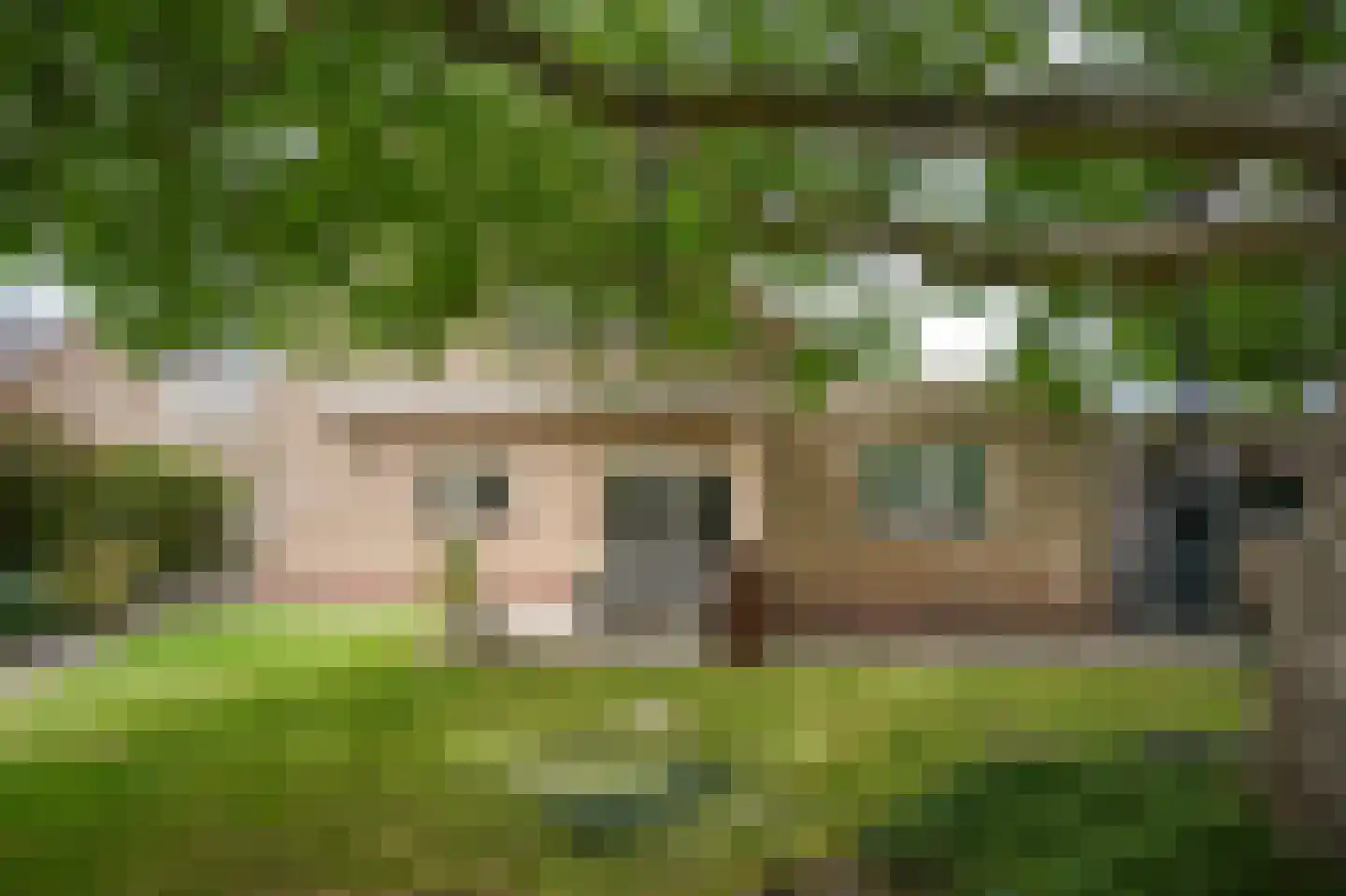 Leijensteinstraat 31 Kerkdriel thumbnail 41