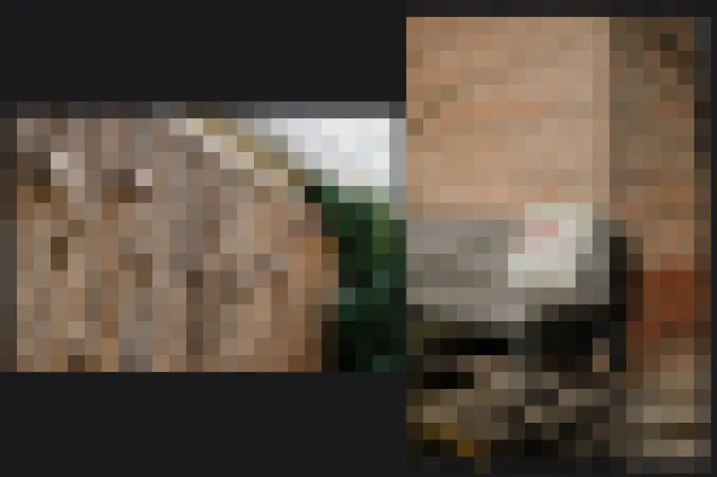 Leijensteinstraat 31 Kerkdriel thumbnail 43