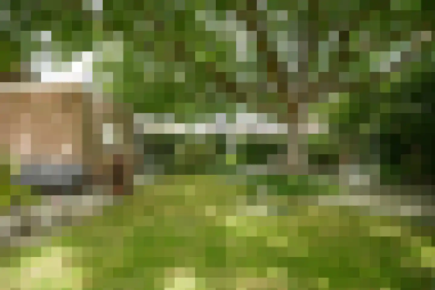 Leijensteinstraat 31 Kerkdriel thumbnail 43