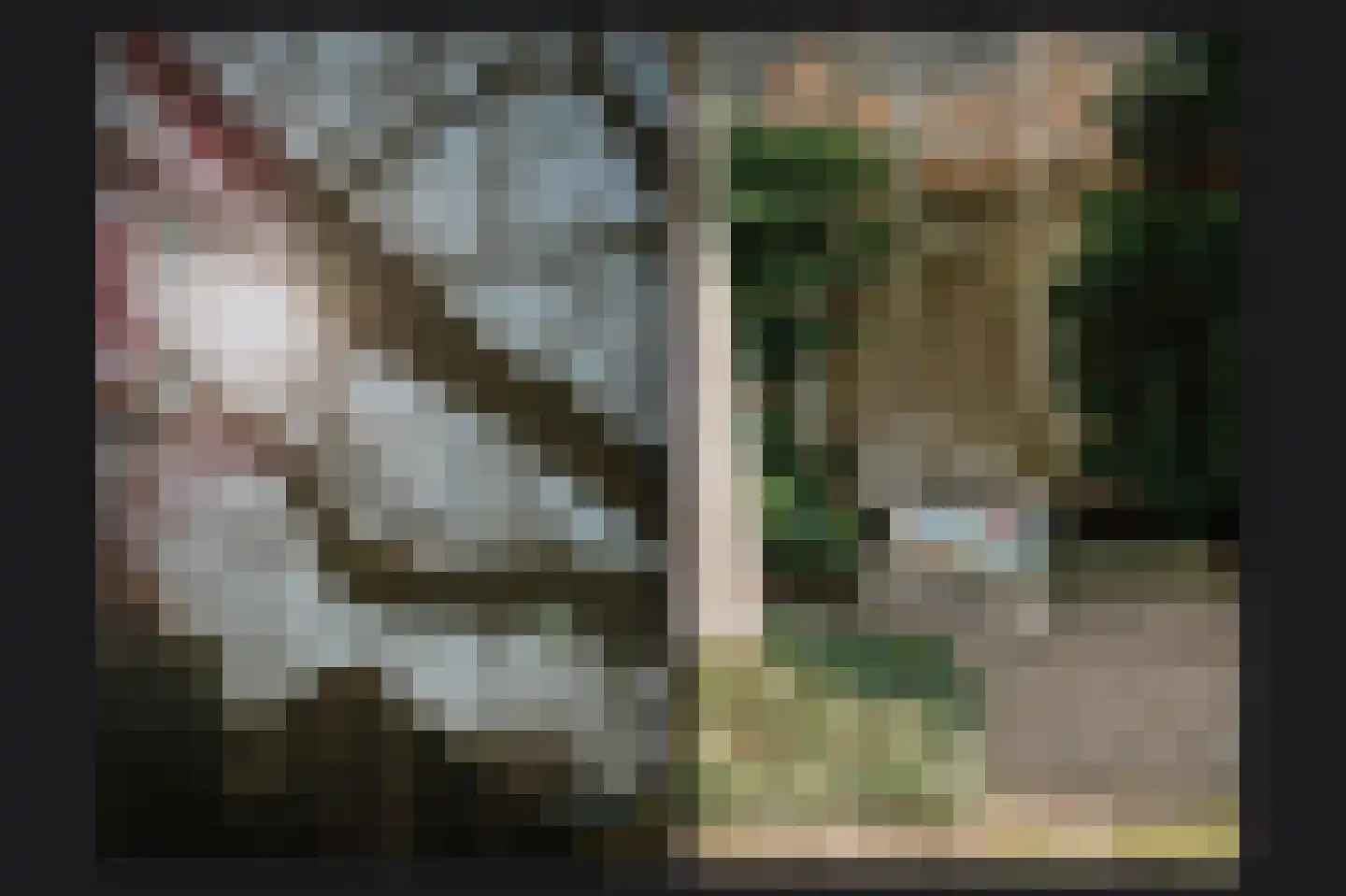 Leijensteinstraat 31 Kerkdriel thumbnail 45