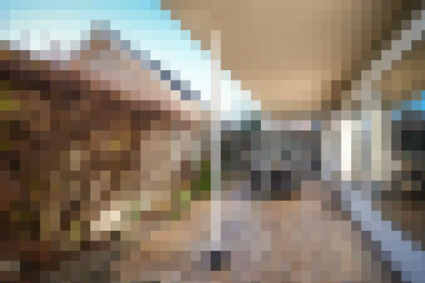 Leijensteinstraat 31 Kerkdriel thumbnail 46