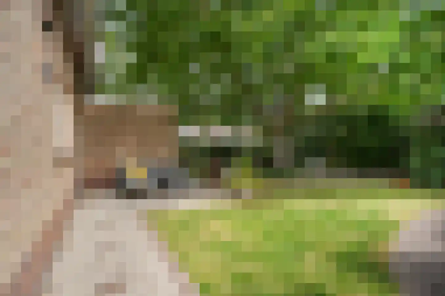 Leijensteinstraat 31 Kerkdriel thumbnail 48