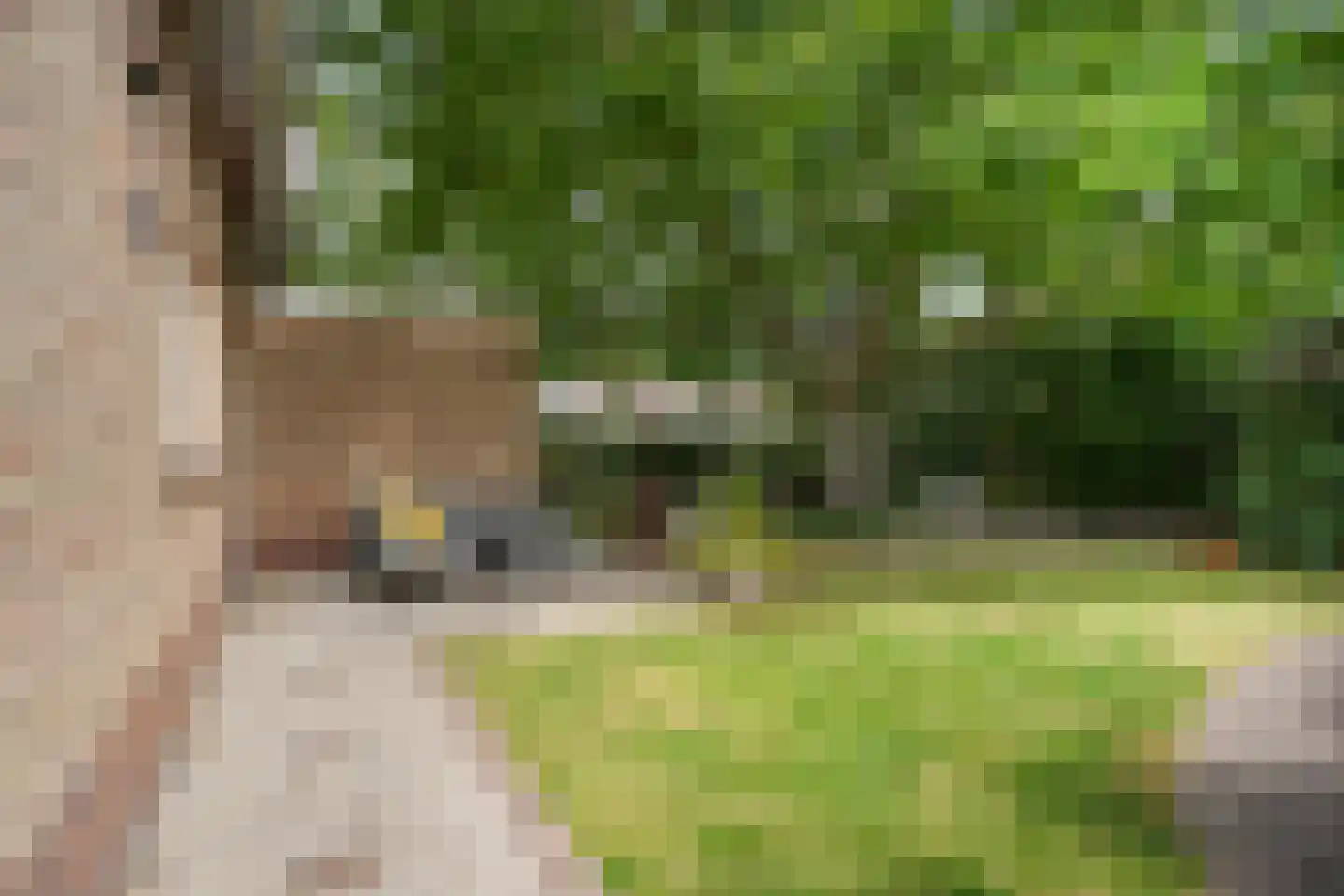 Leijensteinstraat 31 Kerkdriel thumbnail 51