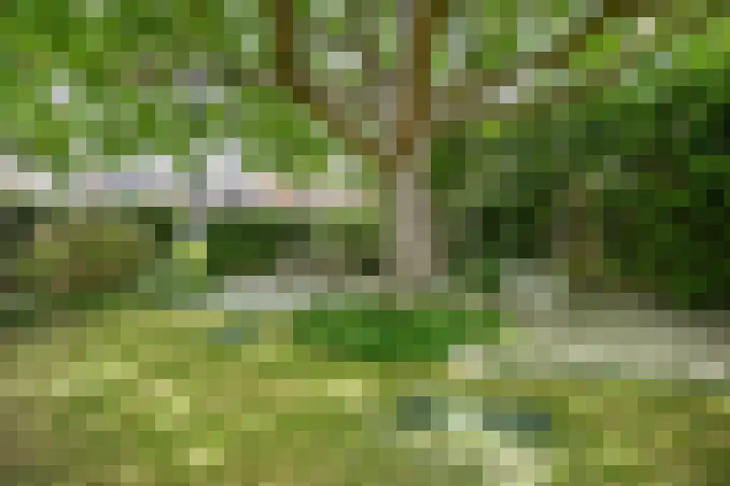 Leijensteinstraat 31 Kerkdriel thumbnail 52