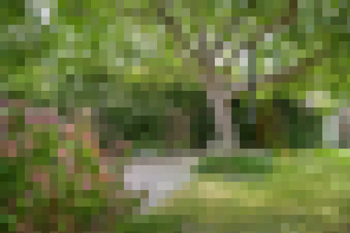 Leijensteinstraat 31 Kerkdriel thumbnail 53