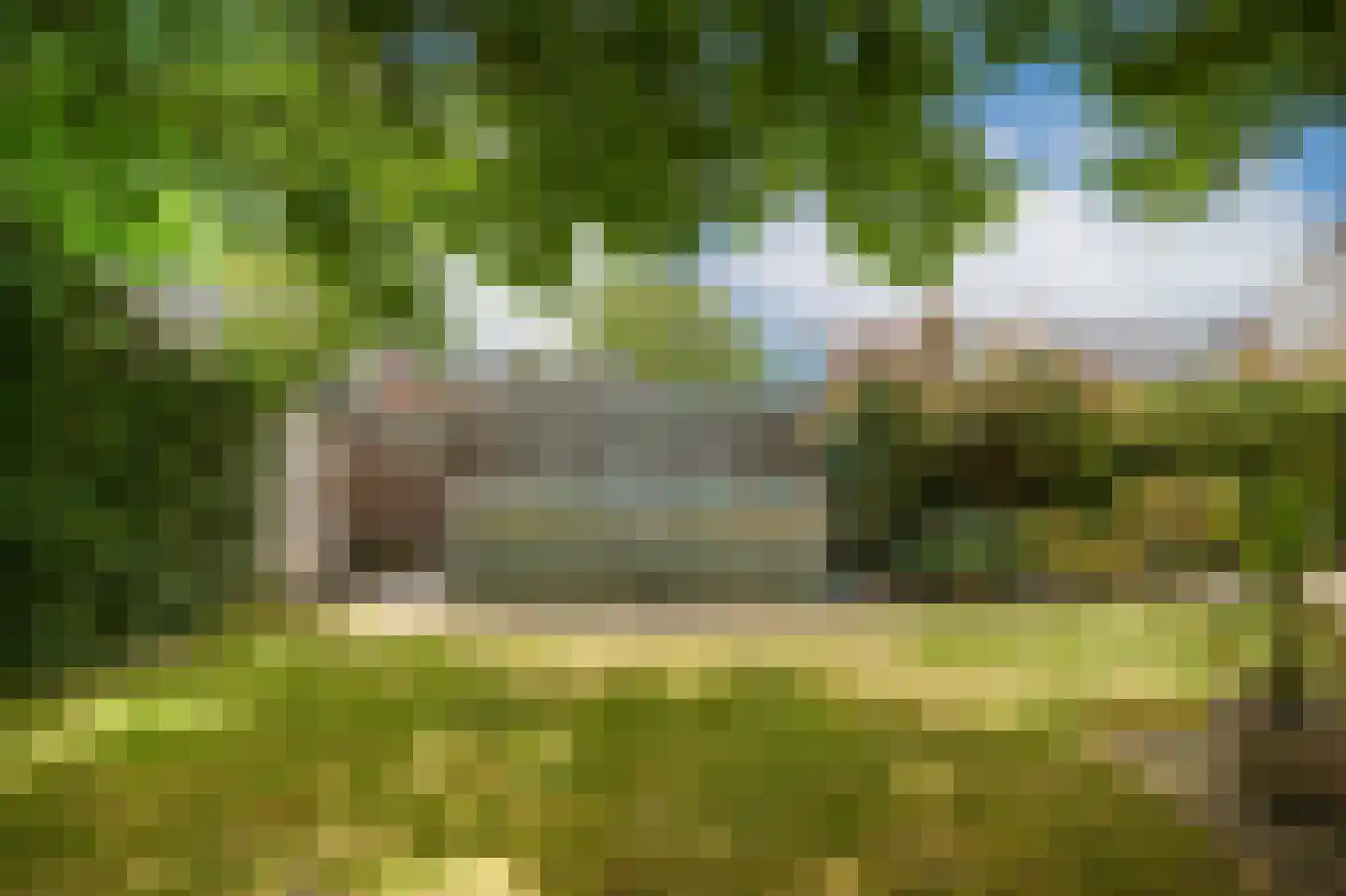 Leijensteinstraat 31 Kerkdriel thumbnail 55