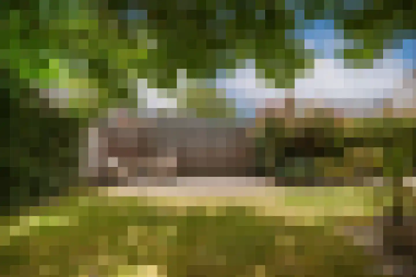 Leijensteinstraat 31 Kerkdriel thumbnail 56