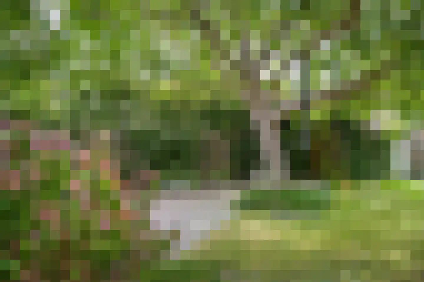 Leijensteinstraat 31 Kerkdriel thumbnail 56