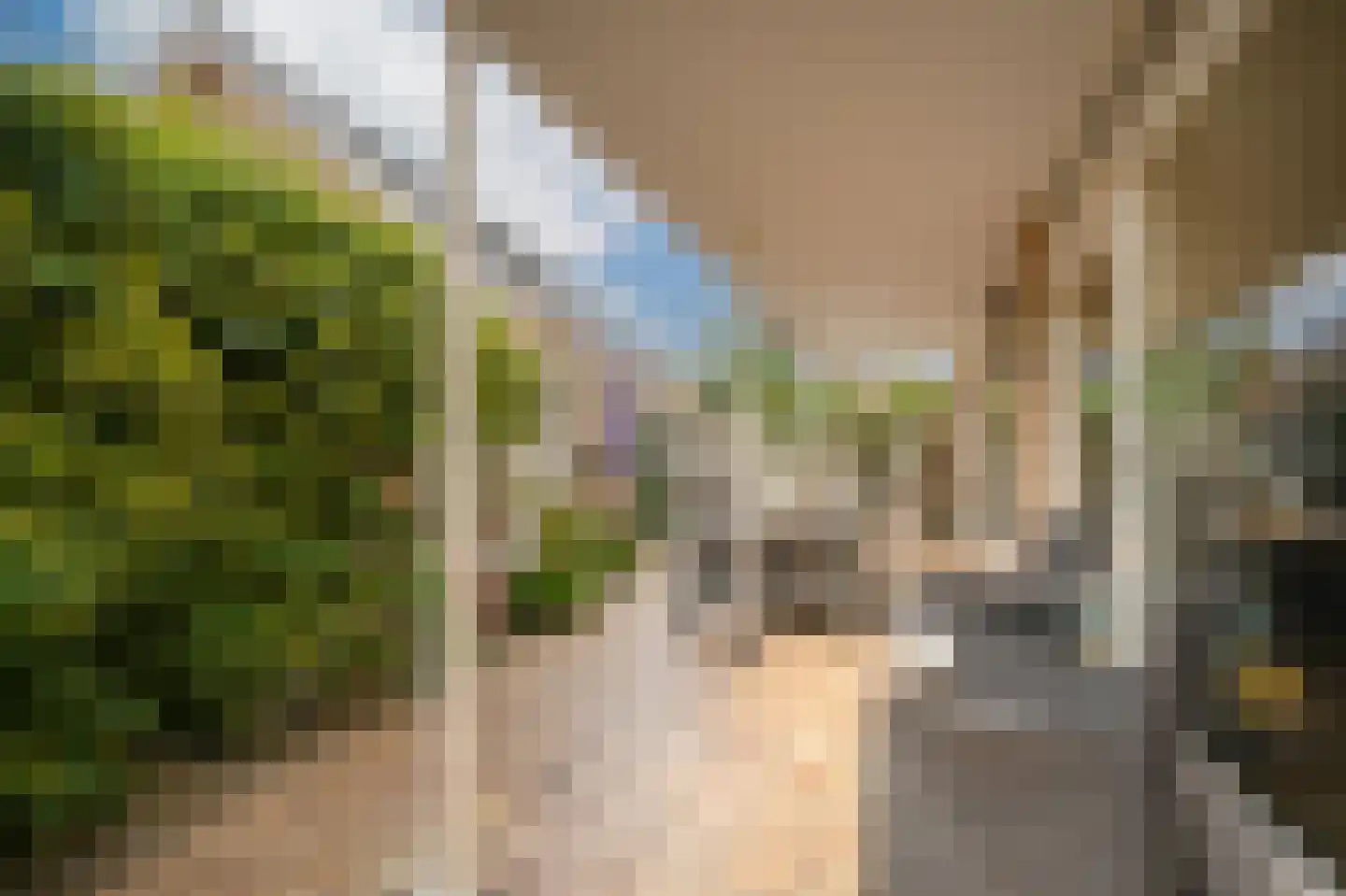 Leijensteinstraat 31 Kerkdriel thumbnail 58