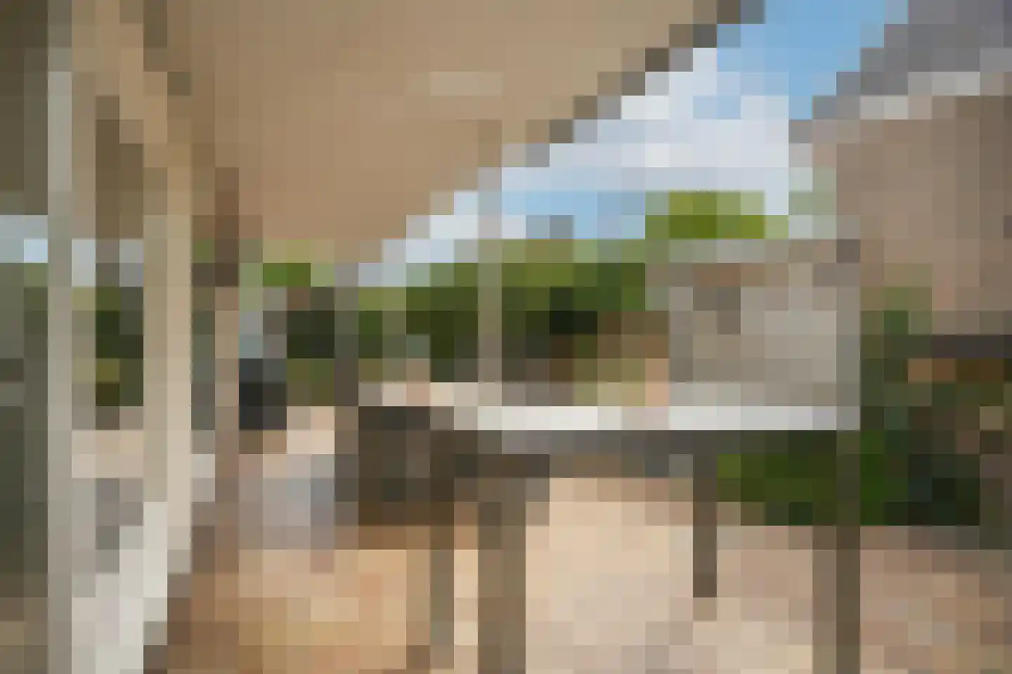 Leijensteinstraat 31 Kerkdriel thumbnail 61