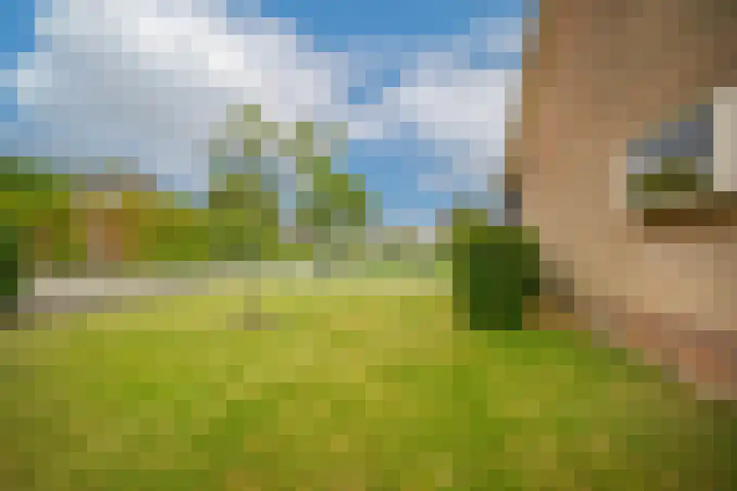 Leijensteinstraat 31 Kerkdriel thumbnail 64