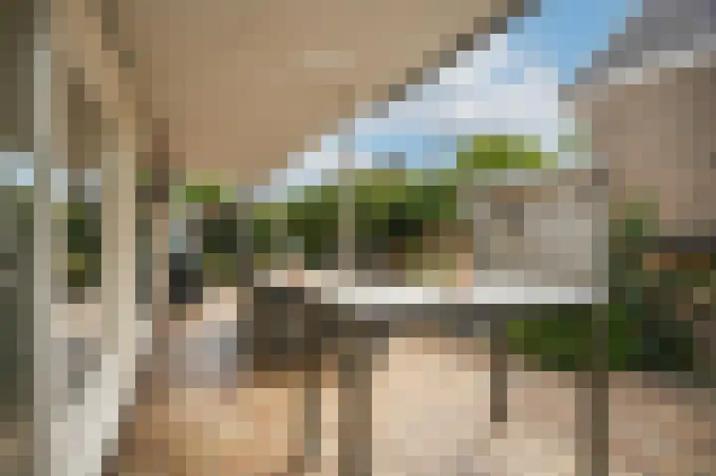 Leijensteinstraat 31 Kerkdriel thumbnail 64