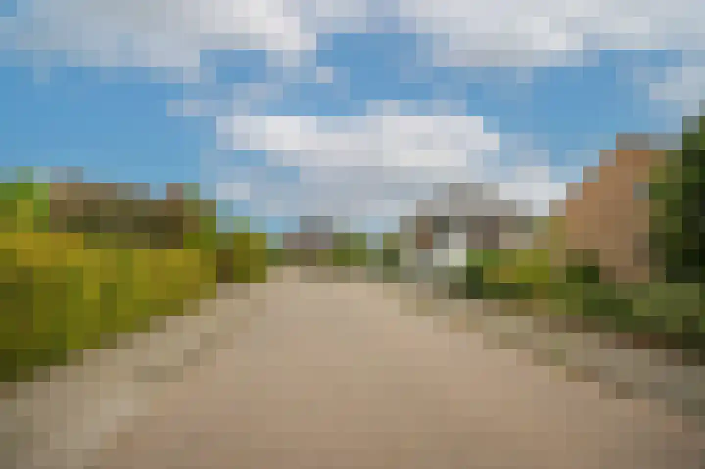 Leijensteinstraat 31 Kerkdriel thumbnail 69