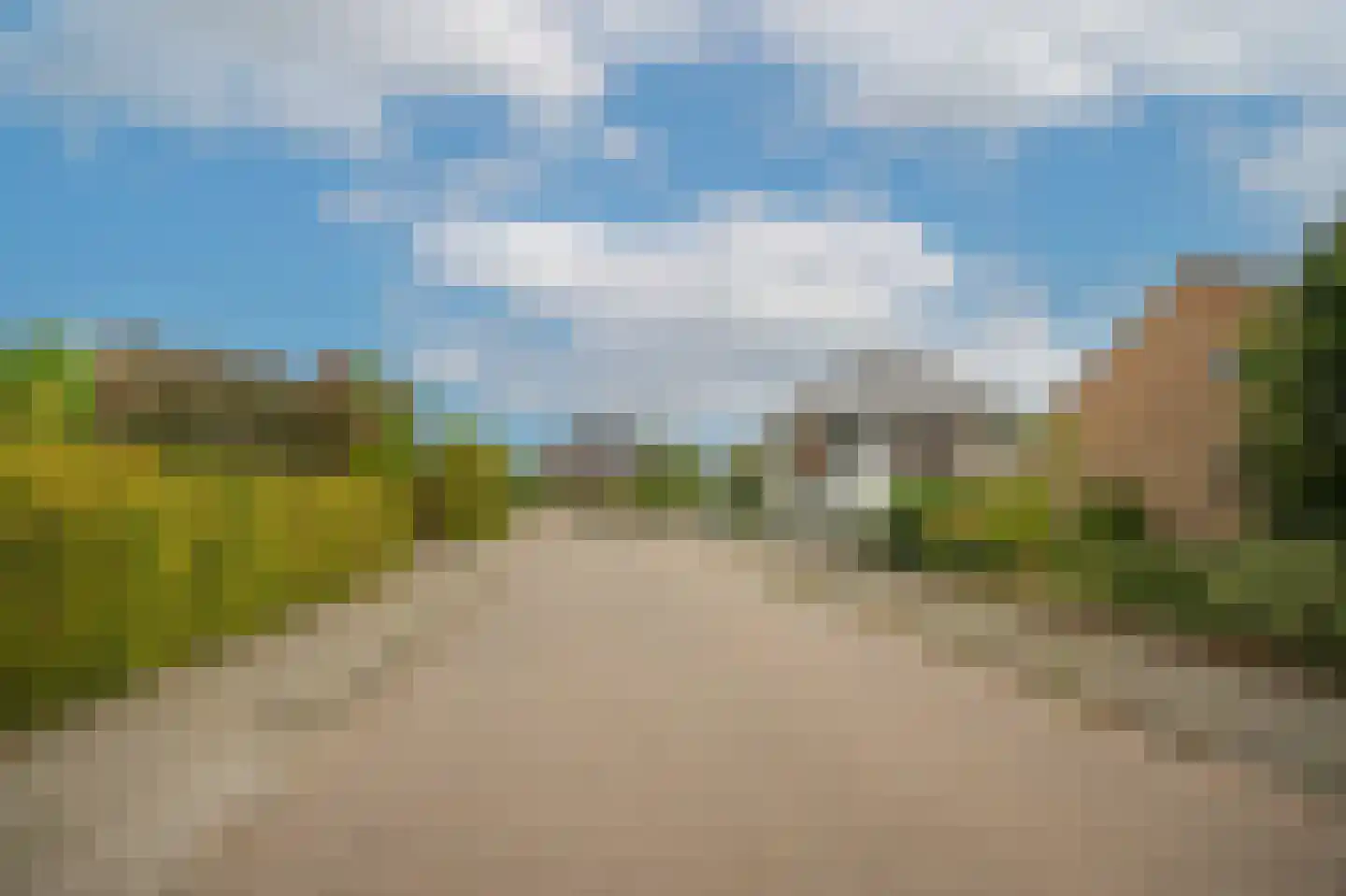 Leijensteinstraat 31 Kerkdriel thumbnail 74