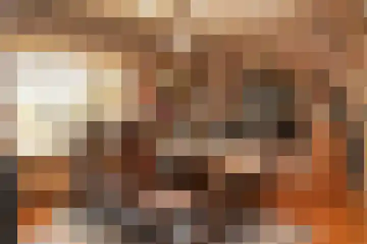 Leijensteinstraat 8 Kerkdriel thumbnail 11
