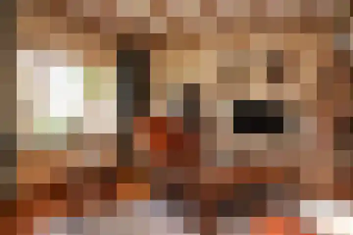 Leijensteinstraat 8 Kerkdriel thumbnail 13