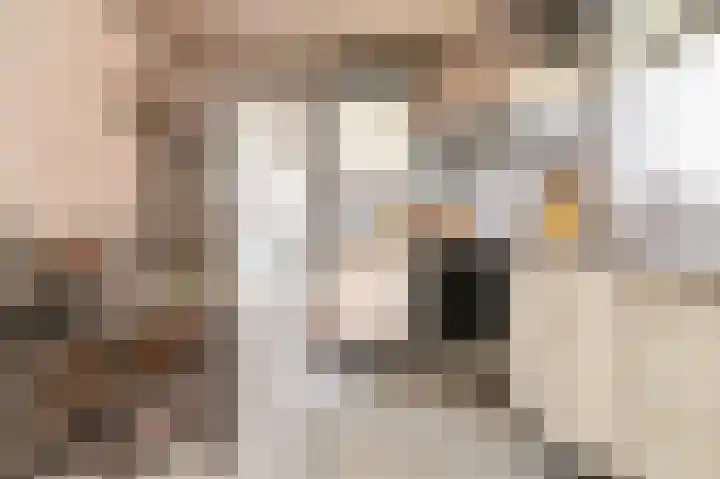 Leijensteinstraat 8 Kerkdriel thumbnail 15