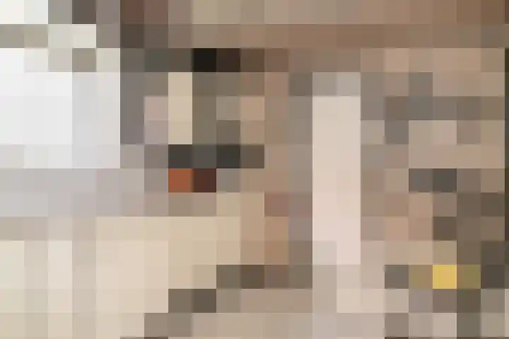 Leijensteinstraat 8 Kerkdriel thumbnail 17