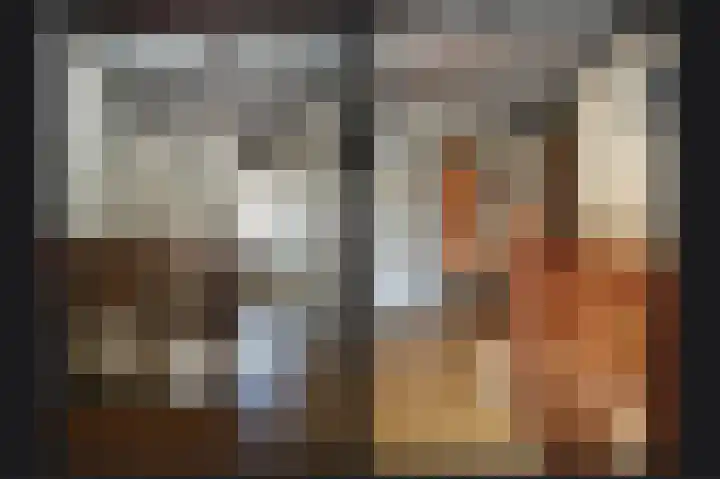 Leijensteinstraat 8 Kerkdriel thumbnail 18
