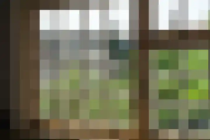 Leijensteinstraat 8 Kerkdriel thumbnail 22