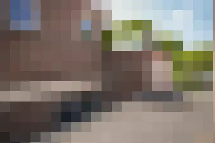 Leijensteinstraat 8 Kerkdriel thumbnail 27