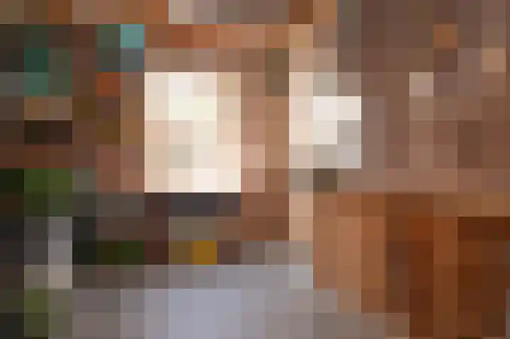Leijensteinstraat 8 Kerkdriel thumbnail 35