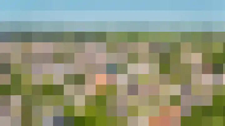 Leijensteinstraat 8 Kerkdriel thumbnail 40