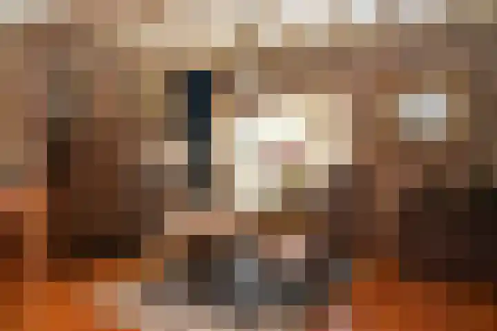Leijensteinstraat 8 Kerkdriel thumbnail 6