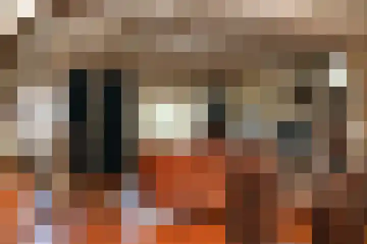 Leijensteinstraat 8 Kerkdriel thumbnail 7
