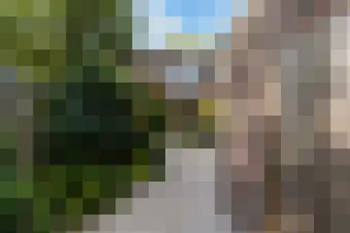 Leijert 20 Boxtel thumbnail 46