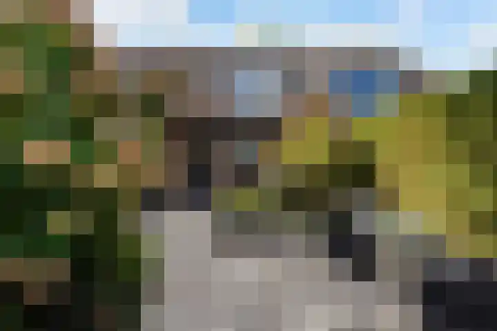 Leijert 20 Boxtel thumbnail 47