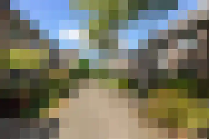 Leijert 20 Boxtel thumbnail 5