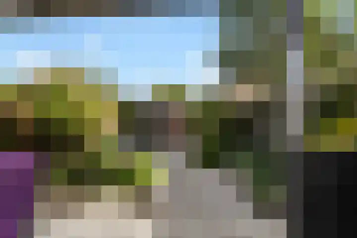 Leijert 20 Boxtel thumbnail 50