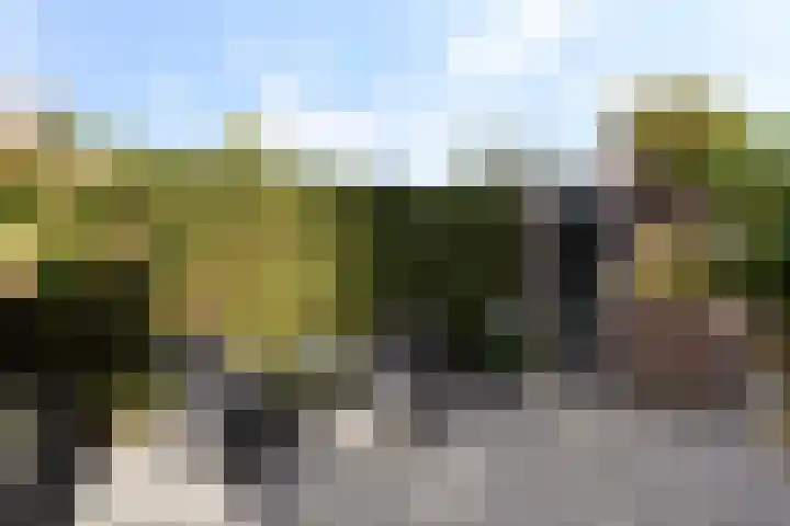 Leijert 20 Boxtel thumbnail 52