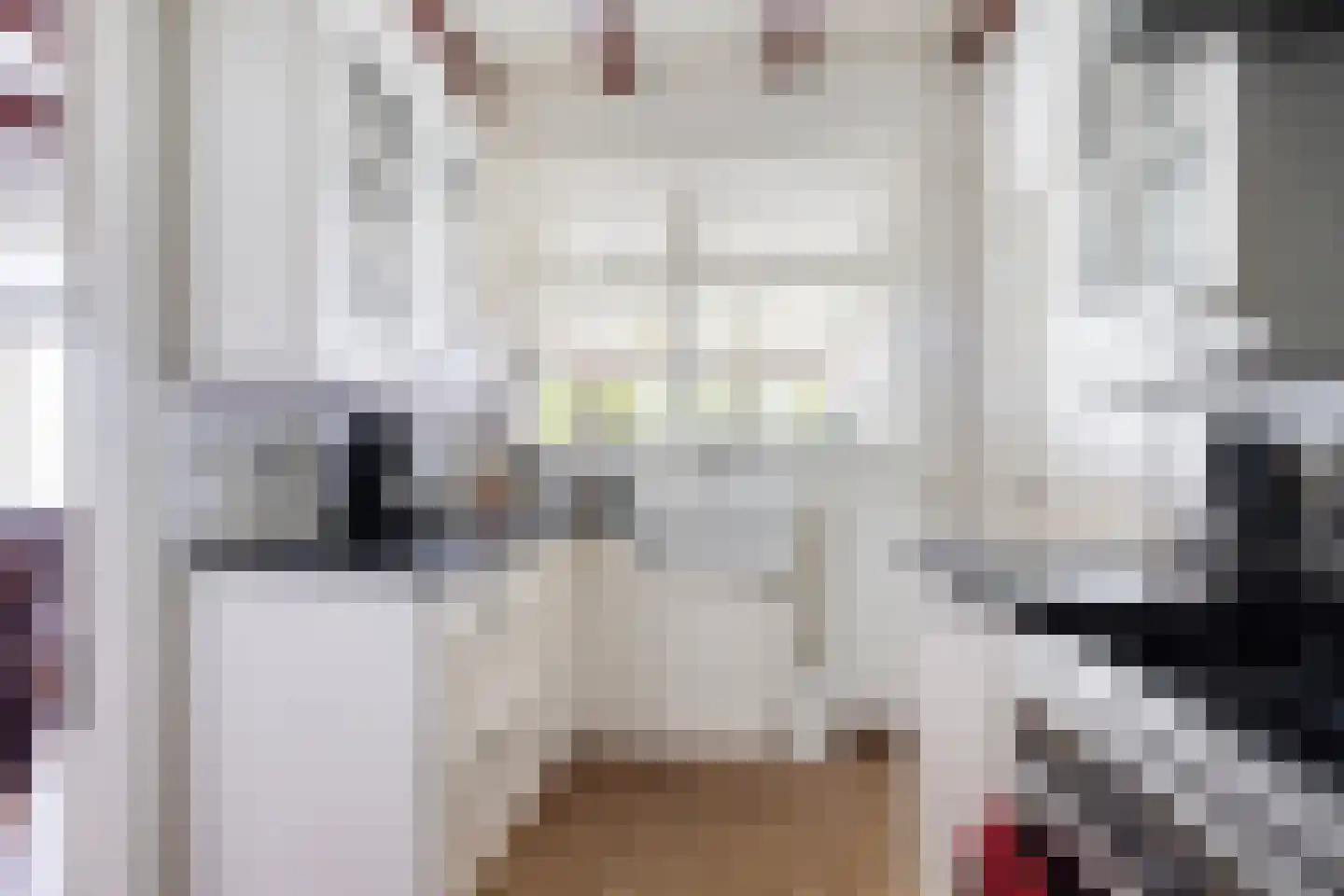 Leijester Hegedyk 52 Alde Leie thumbnail 10
