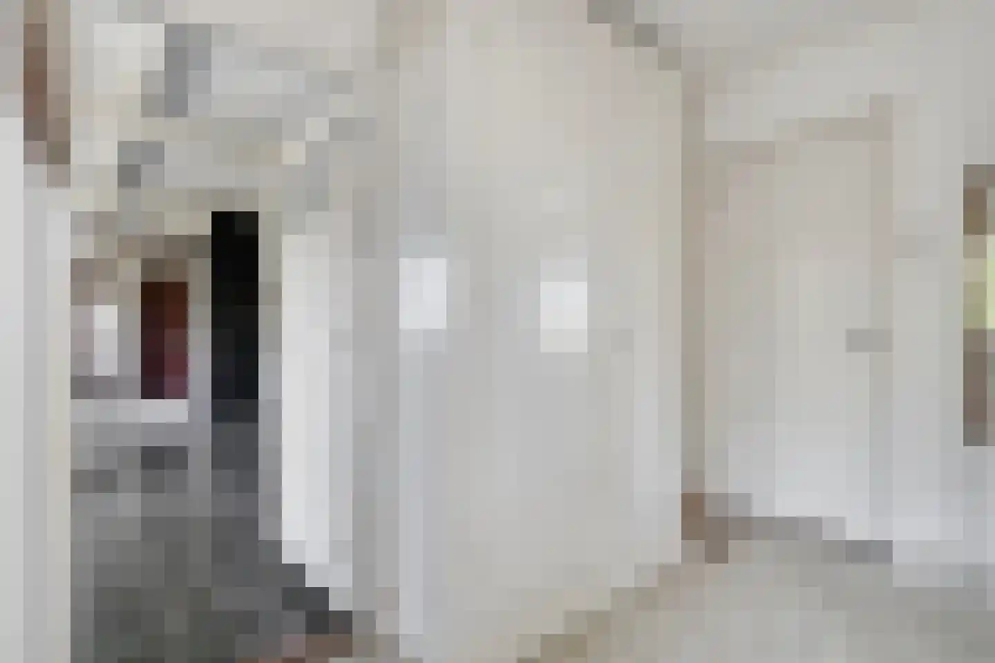 Leijester Hegedyk 52 Alde Leie thumbnail 12