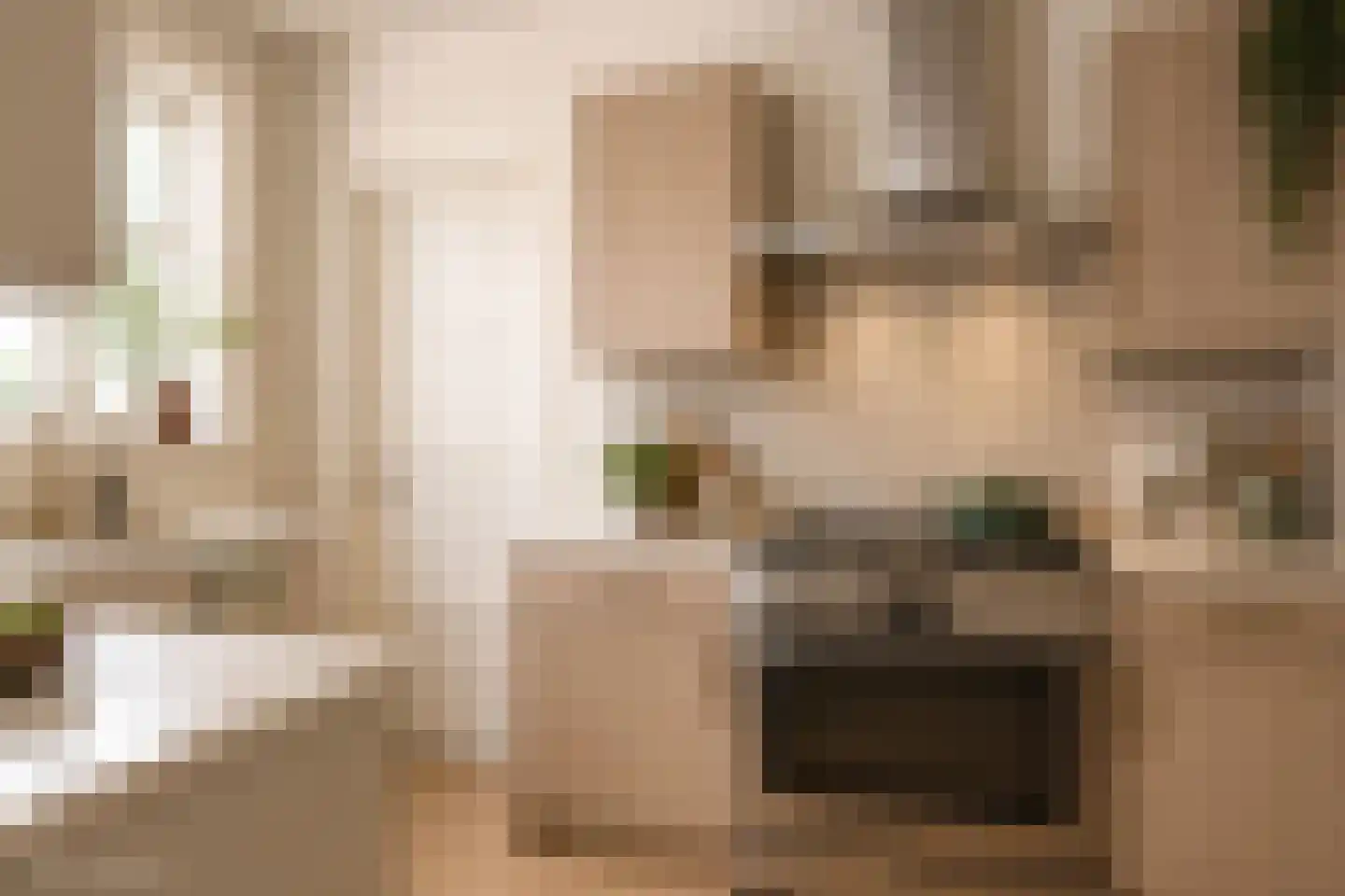 Leijester Hegedyk 52 Alde Leie thumbnail 13