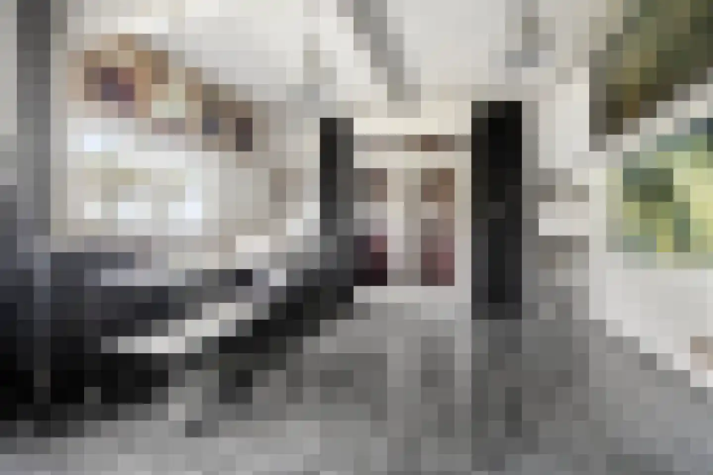 Leijester Hegedyk 52 Alde Leie thumbnail 13