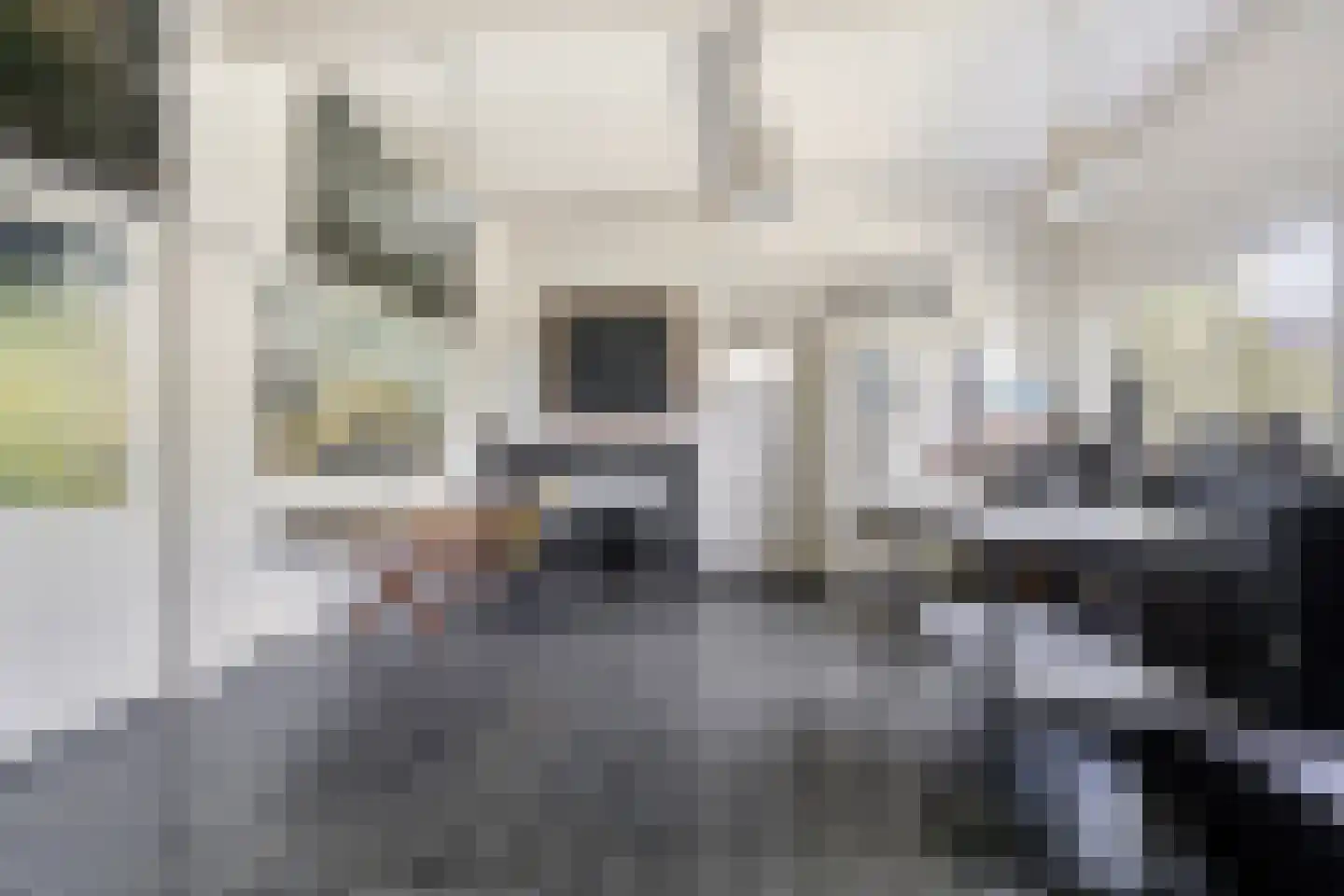 Leijester Hegedyk 52 Alde Leie thumbnail 14
