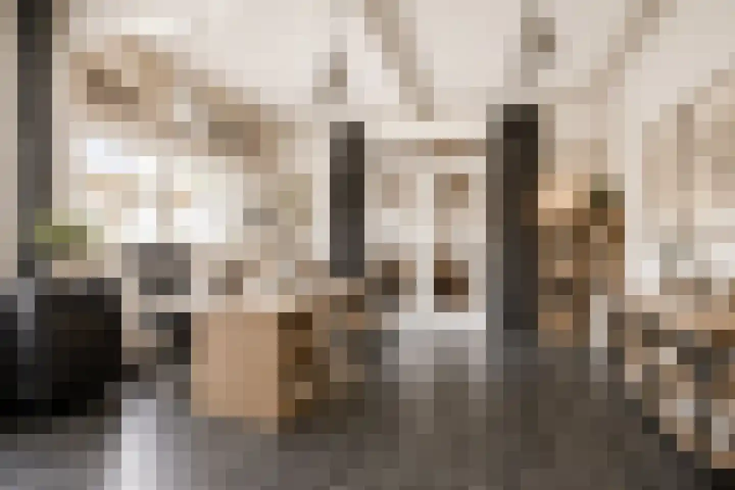 Leijester Hegedyk 52 Alde Leie thumbnail 18